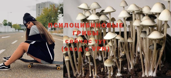 герыч Бронницы