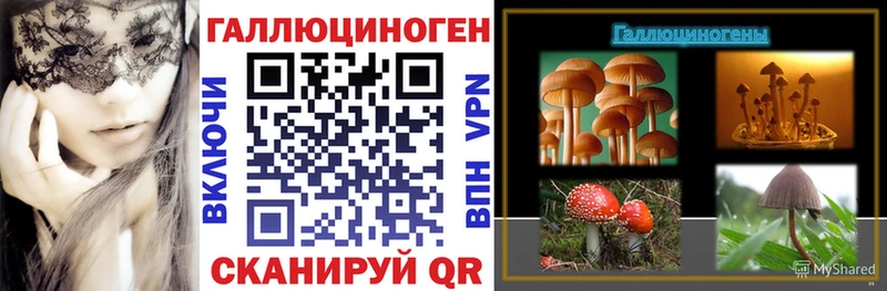 Псилоцибиновые грибы мухоморы  shop клад  Давлеканово 